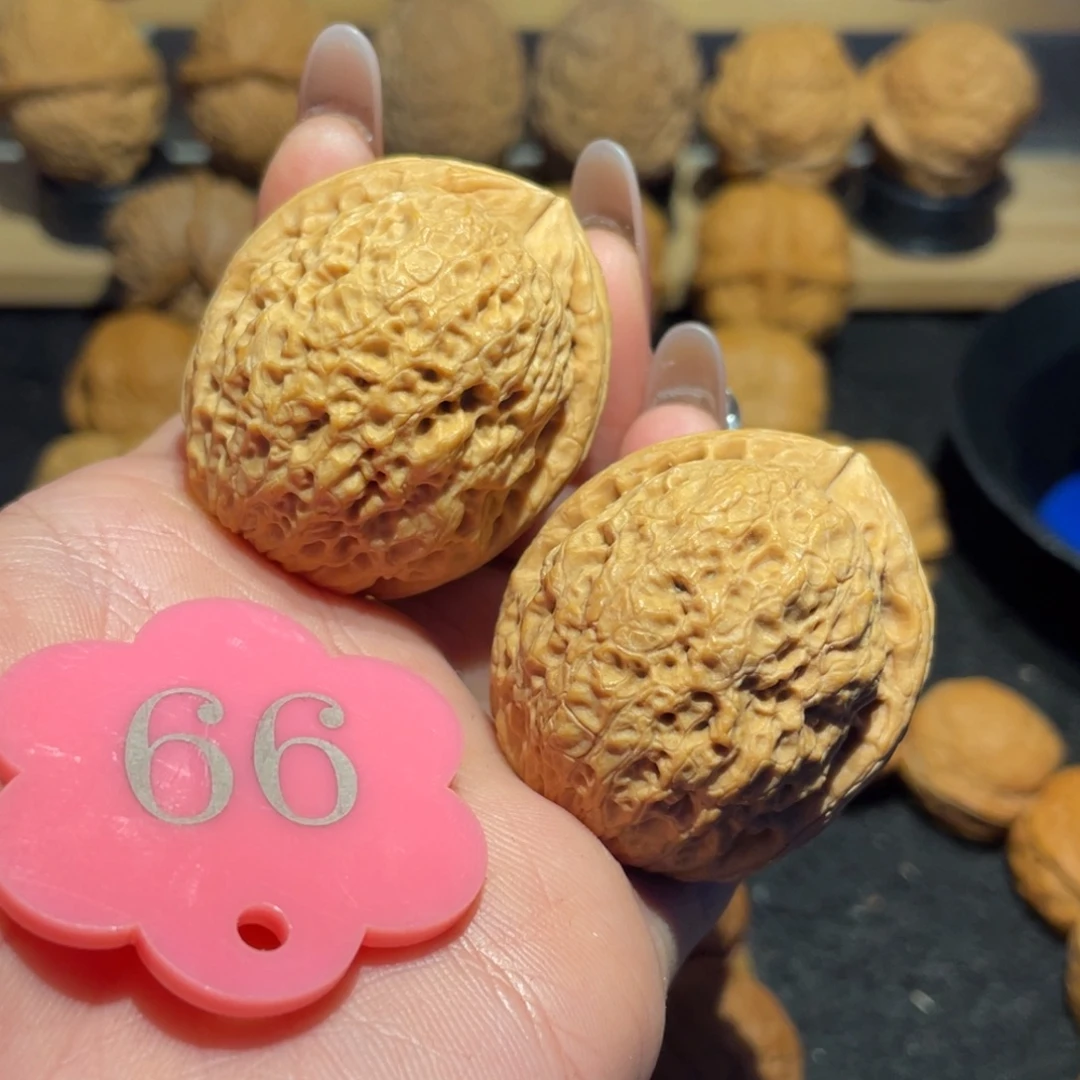 龙鳞铁狮子微彩39