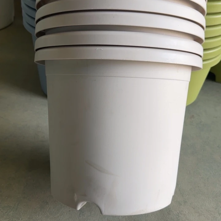 编号796微瑕微瑕口径29