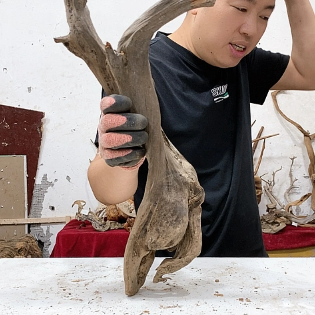 【闪购商品】柏木沐*我们都是好孩子