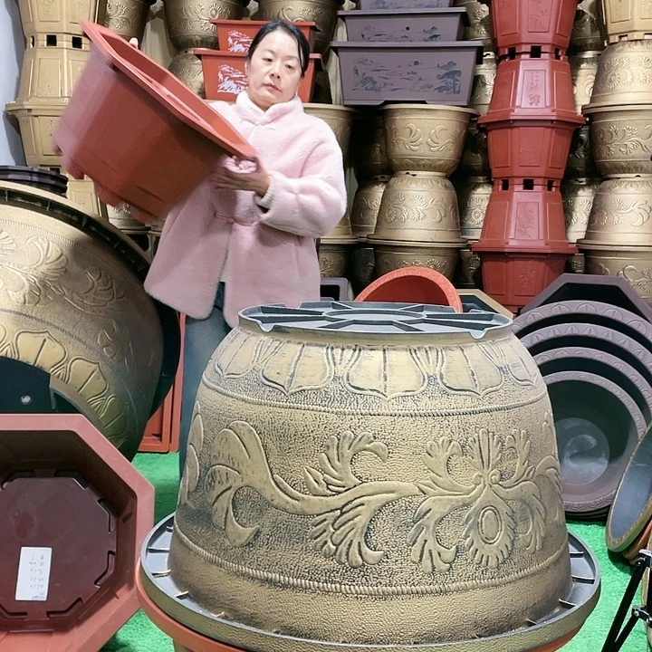 八角红色五零四个