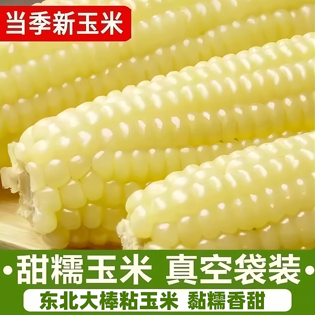【应季头茬】【试吃2支】现摘粘糯8大棒白糯玉米棒香甜软糯正宗糯玉米