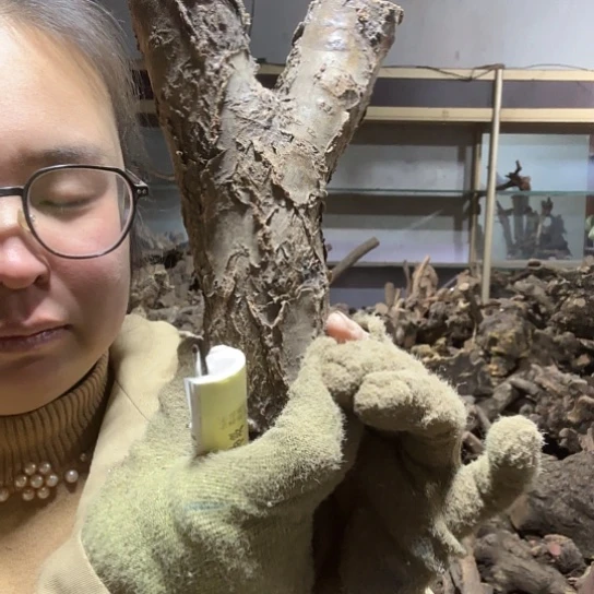 香榧木为**留火琉璃的案件摆件