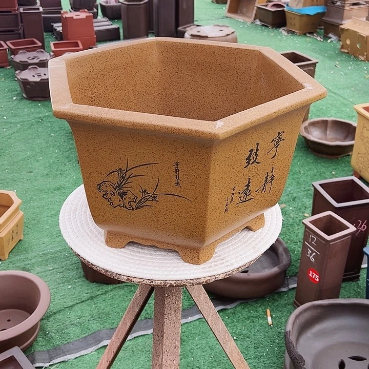 紫砂花盆君紫砂花盆