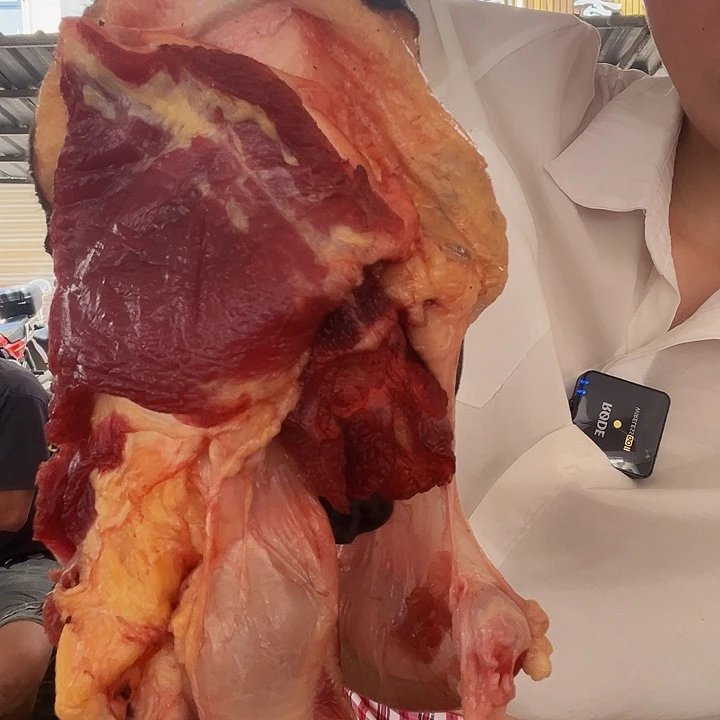 广西土耕马马肉、沙姜炒马肉中国大陆