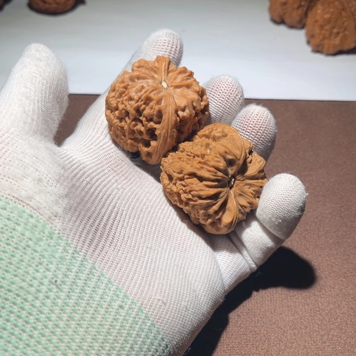 偶***尔精品小秦闷41尺寸