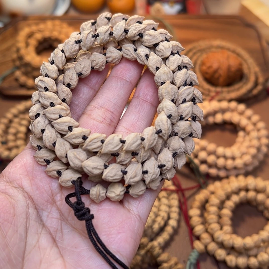 ****城菩提籽类双绳蛇骨柏香籽