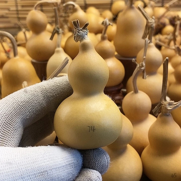 文玩葫芦 完美主义者 慎拍74