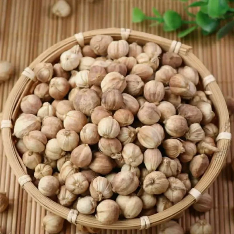 【白豆蔻】白寇全干白蔻正宗白豆蔻香料白扣火锅卤水炖肉卤料调料