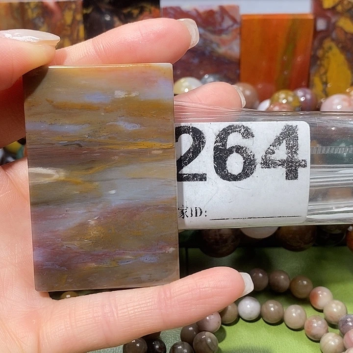 硅化玉未镶嵌天然北票树化玉吊坠