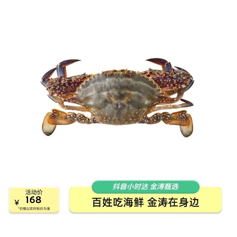 【鲜活】金涛甄选梭子蟹3斤（单只规格3两以上）10-12只鲜活发货母混梭子蟹同城【保鲜不保活】