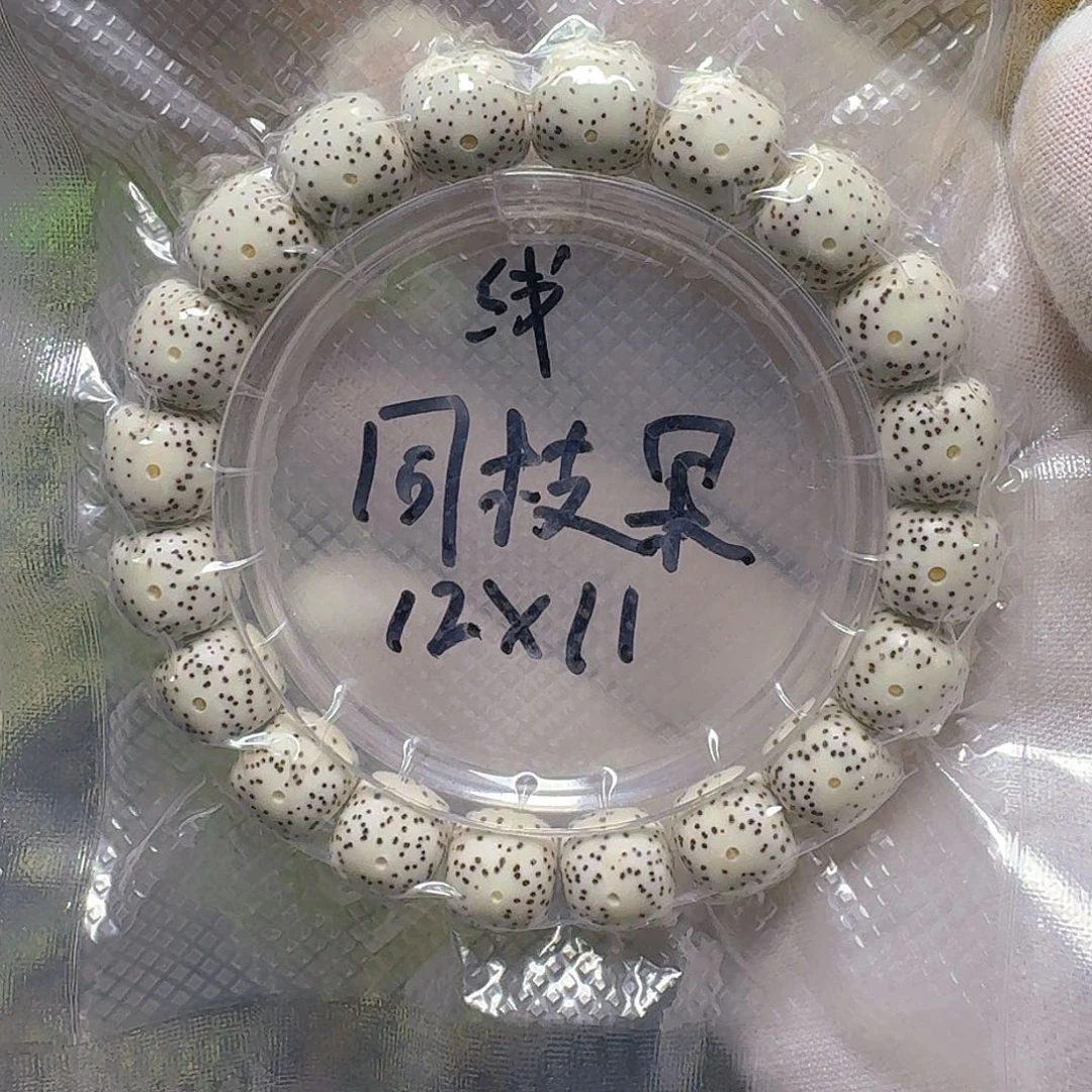 摘***辰星月菩提手串原生态原脂白同枝果星月