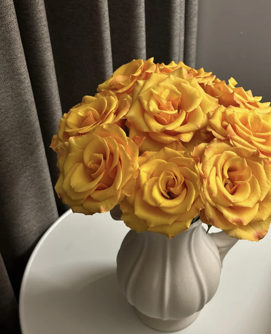 （单）辉煌玫瑰明黄色