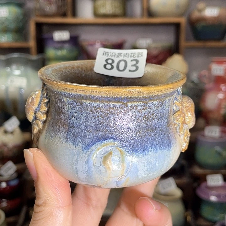 红陶内口径6高度6