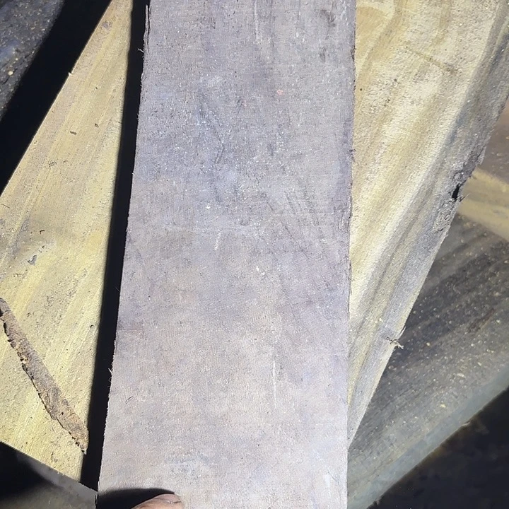 金丝楠啊啊啊啊啊