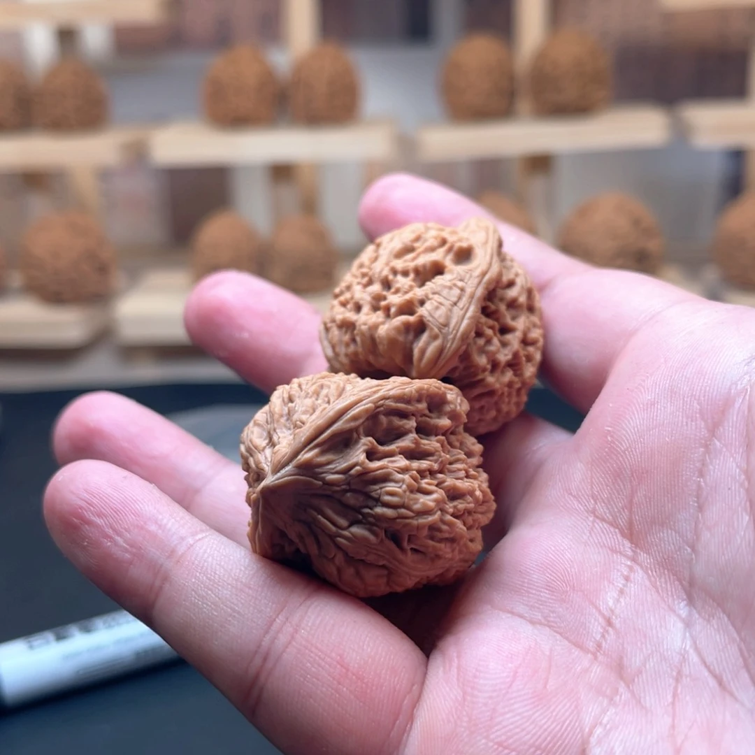 T***o的反反复复发发发