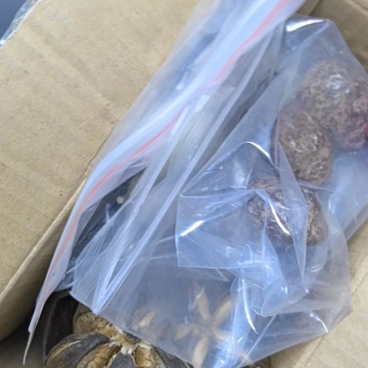 Z****柏香籽/百香籽吊坠菩提散珠自选菩提散珠