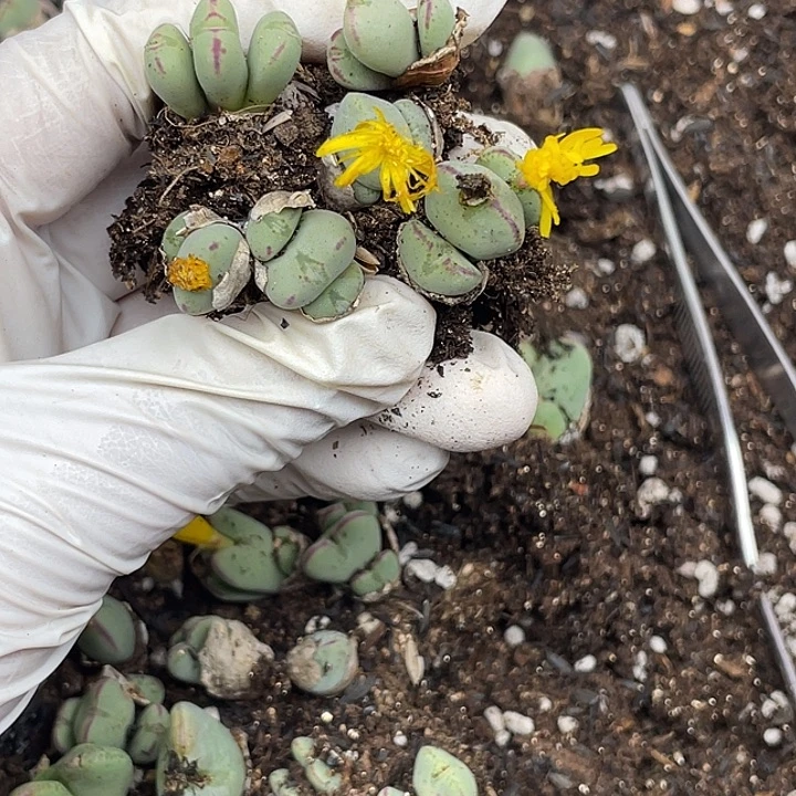 匿***名569快乐旅途呜呜呜呜呜