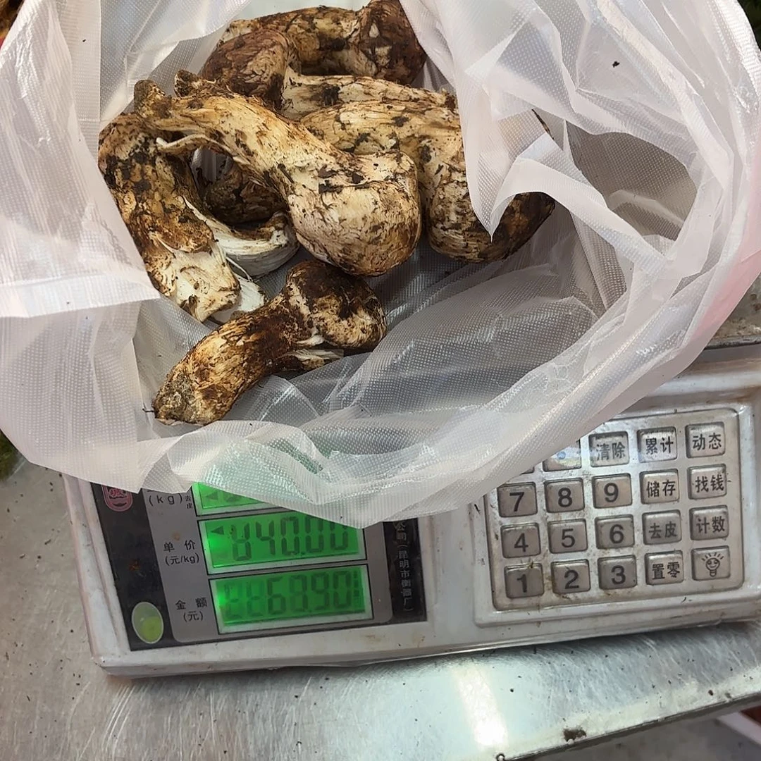 夜****云南小表妹野生菌代购中国大陆