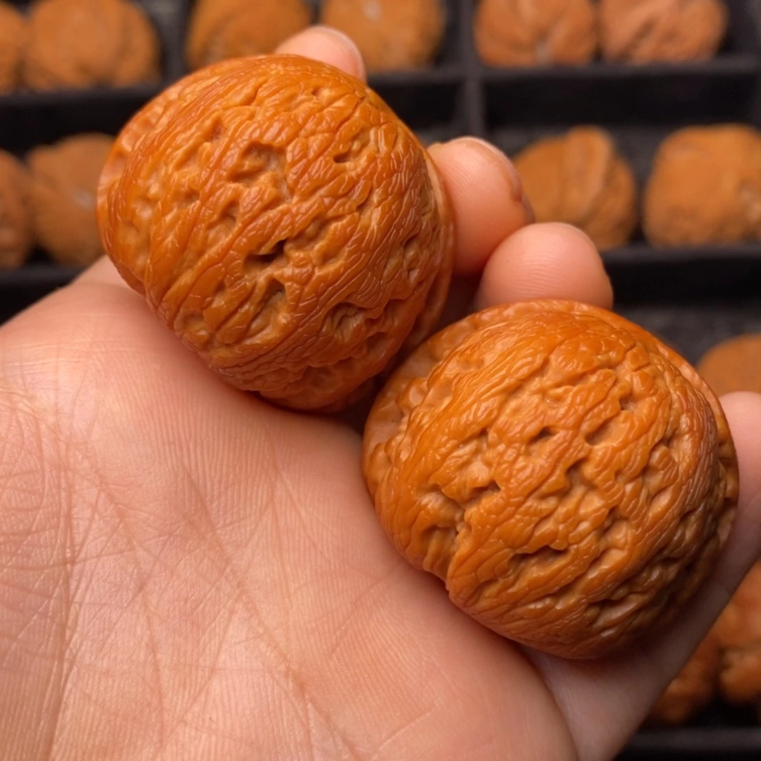 文玩核桃把件秦岭野生核桃