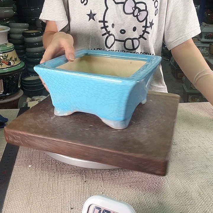 泳坤堂石湾盆早****吃