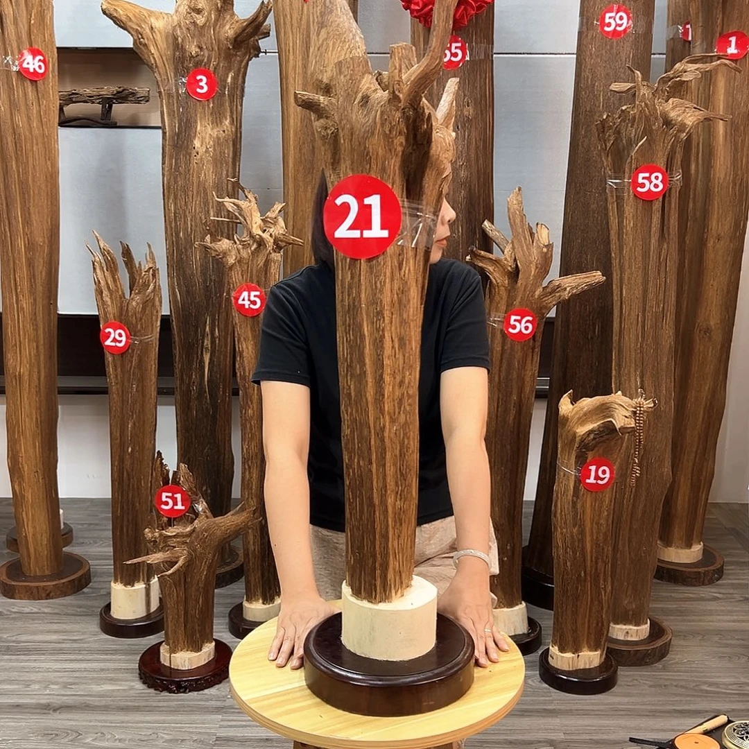 沉香沉香碎屑沉香