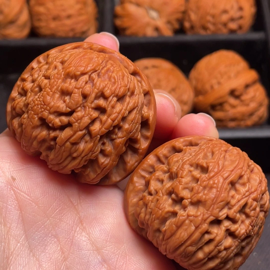 文玩核桃把件秦岭野生核桃