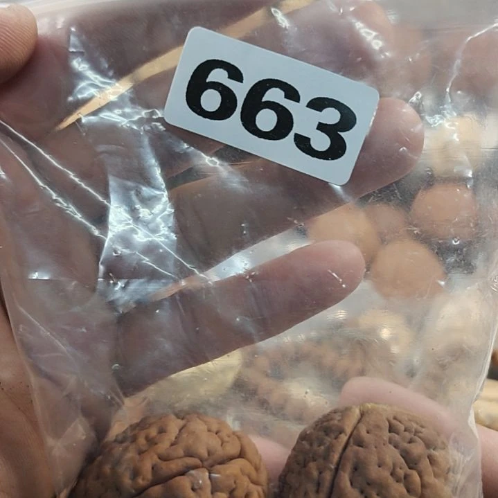 文玩核桃吊坠嘉*嘉文玩核桃