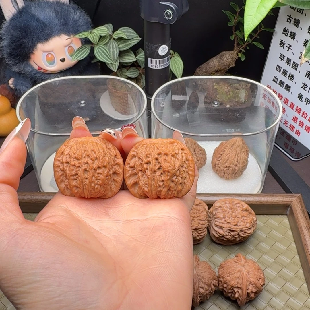 核桃血麒麟（微修打底）37+