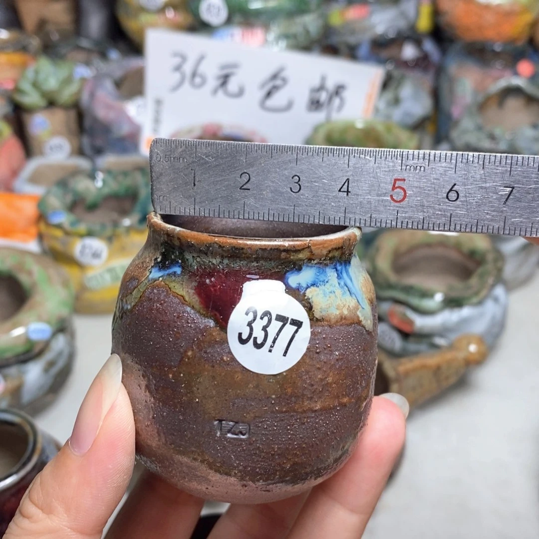 拍5送一个小礼物