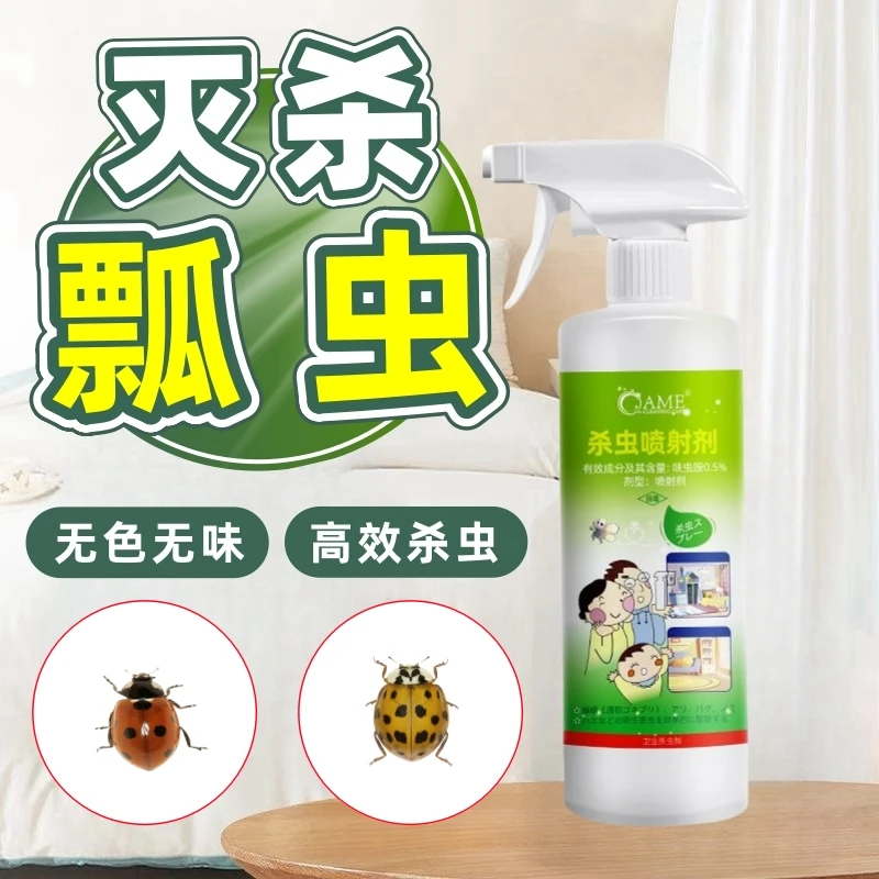 七星瓢虫杀虫喷射剂灭杀花大姐杀虫剂防瓢虫药剂室内通用无色无味