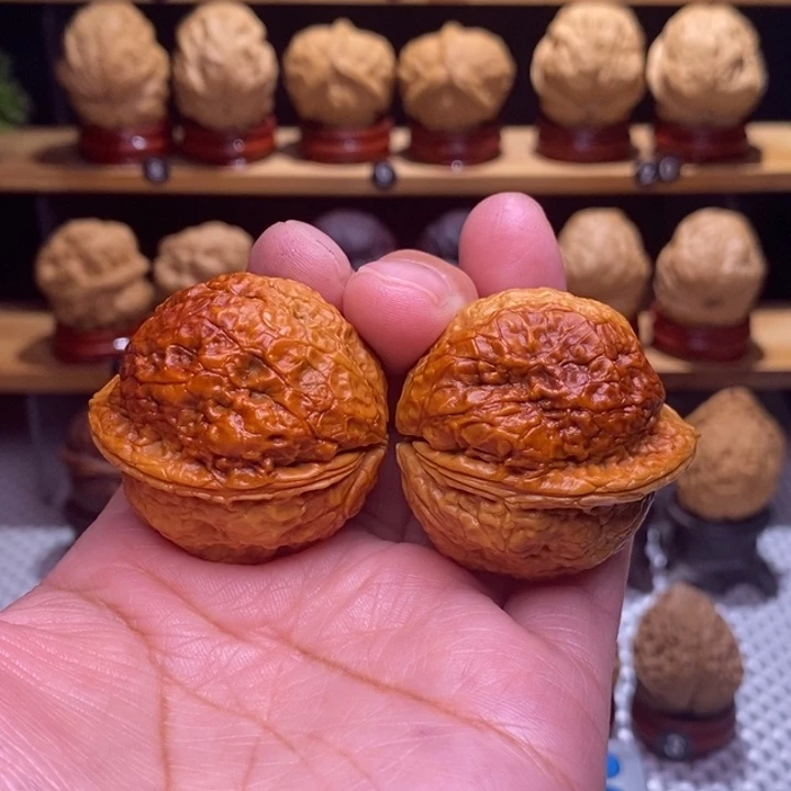 木质类云铁龙雀金蟾65号