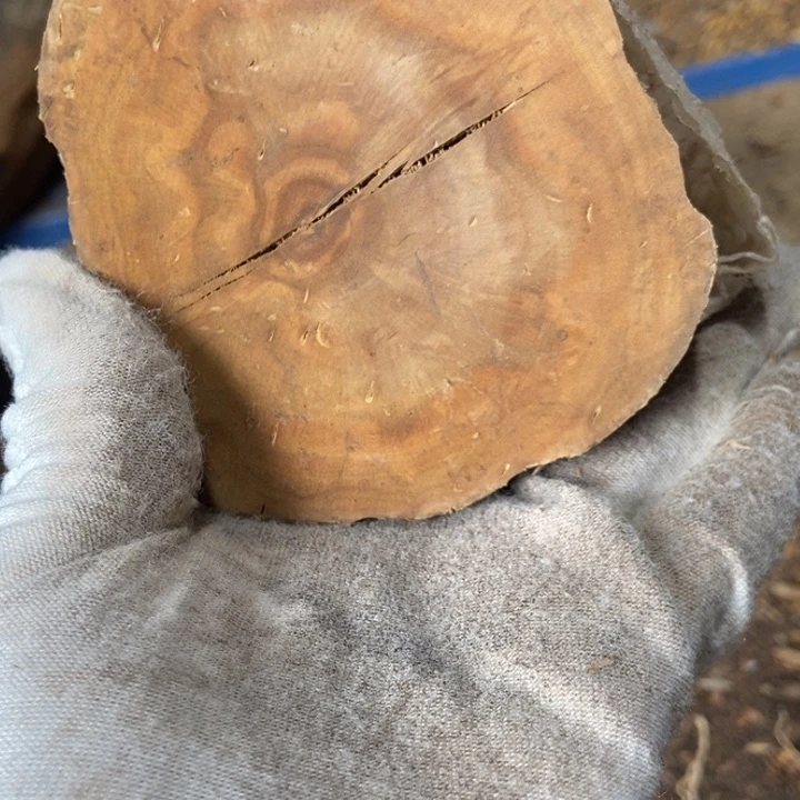 财***爷贡木把件定制不退不换