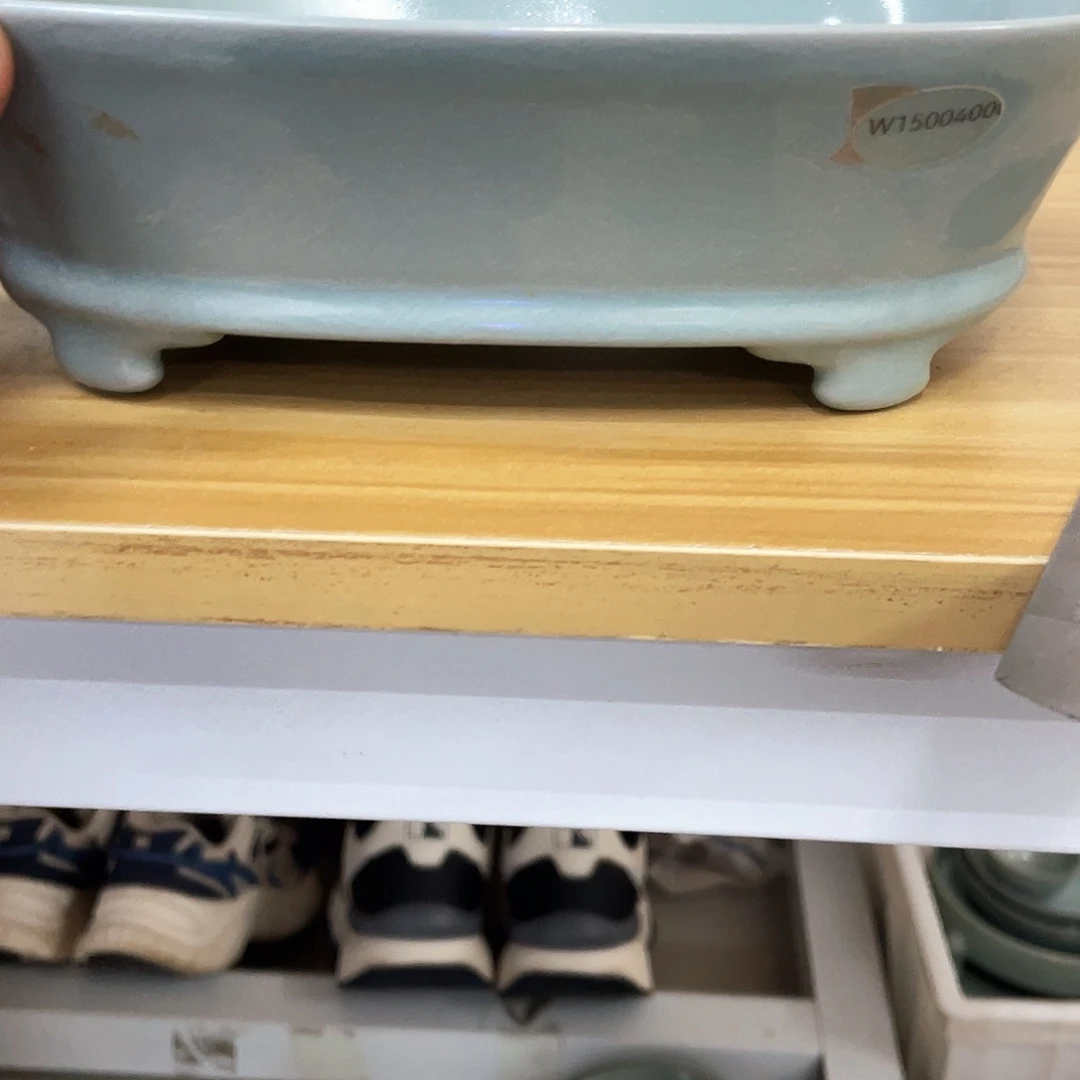 德***盘瓷水仙盆一级1111