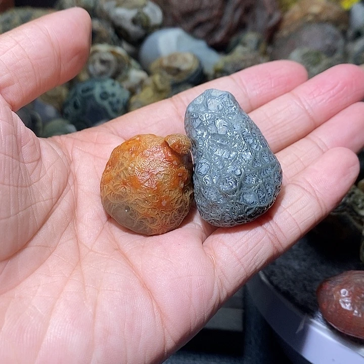 石头千**川精品筋脉单科