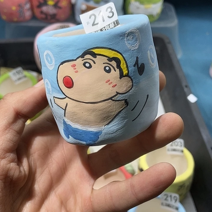 213大舅生石花肉锥