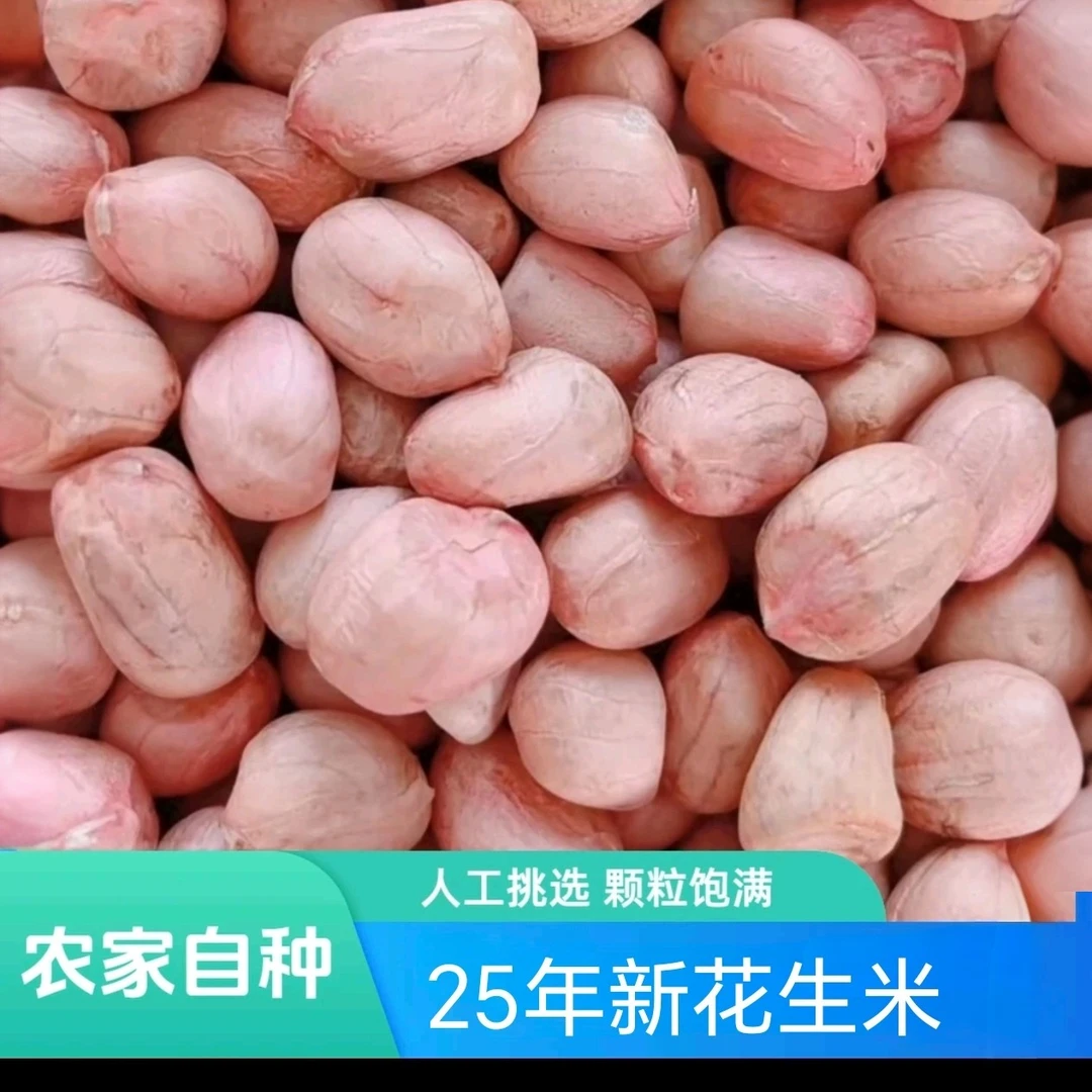 新上市现脱壳河南大白沙生花生米新鲜当季农产品