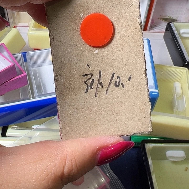 彬***哥蟋蟀哈哈哈哈哈哈哈哈哈