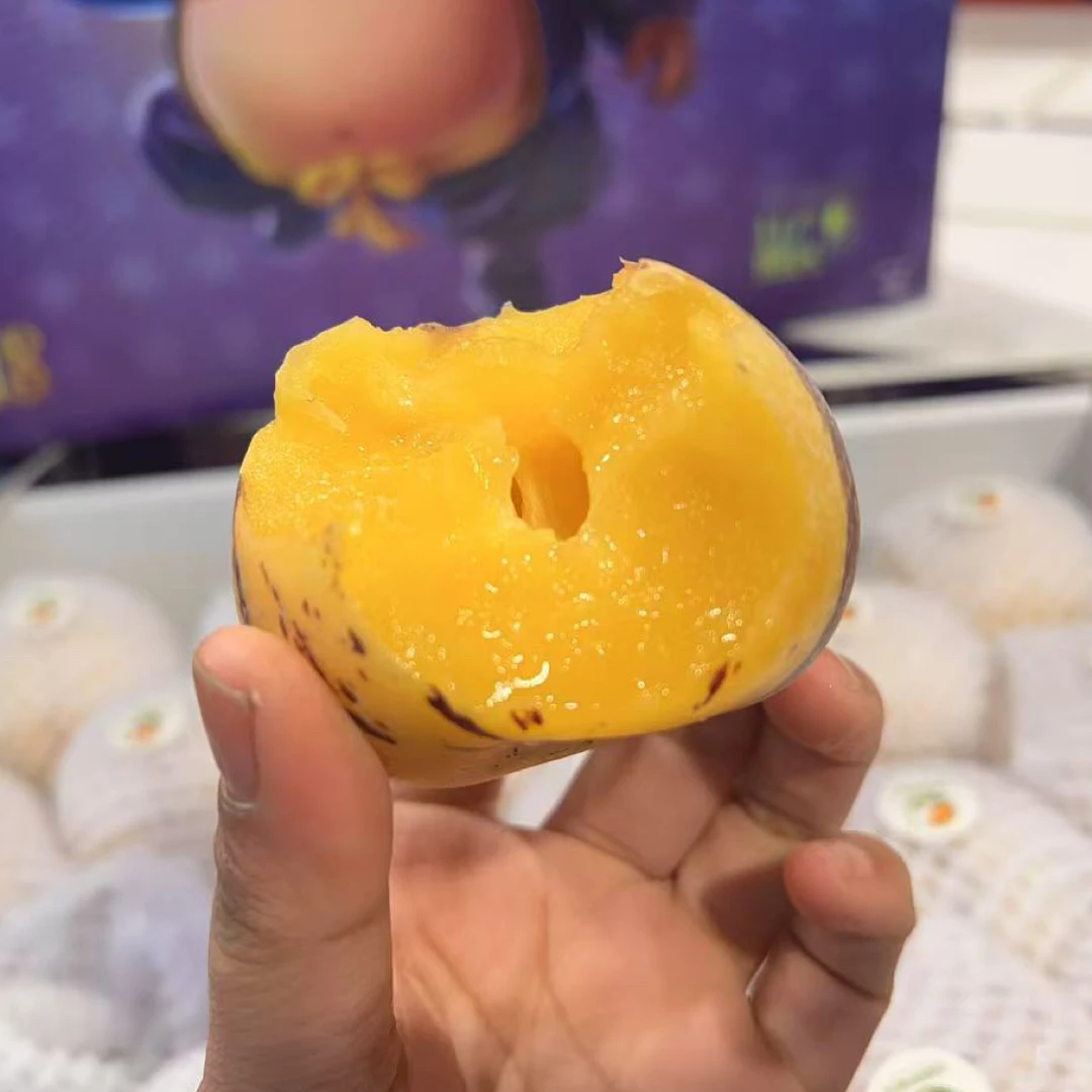 【军哥严选】云南树熟人参果净重4斤礼盒装