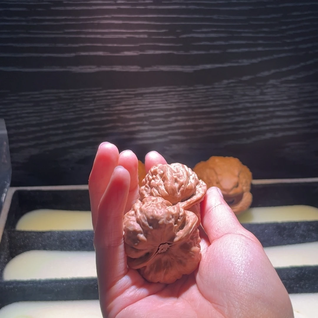 H***Y大叶紫檀（黑酸枝木类）蛤蟆