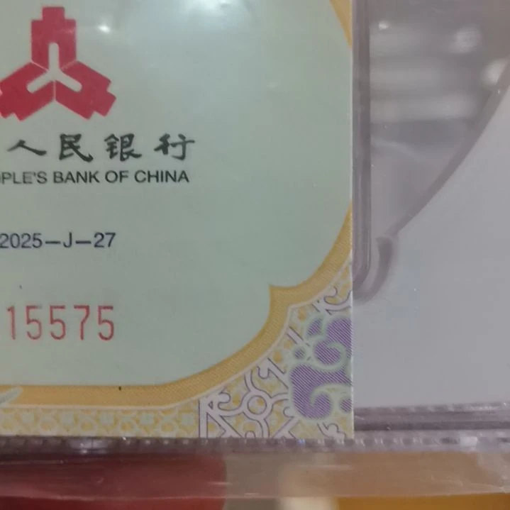 纯银2028年龙银封装