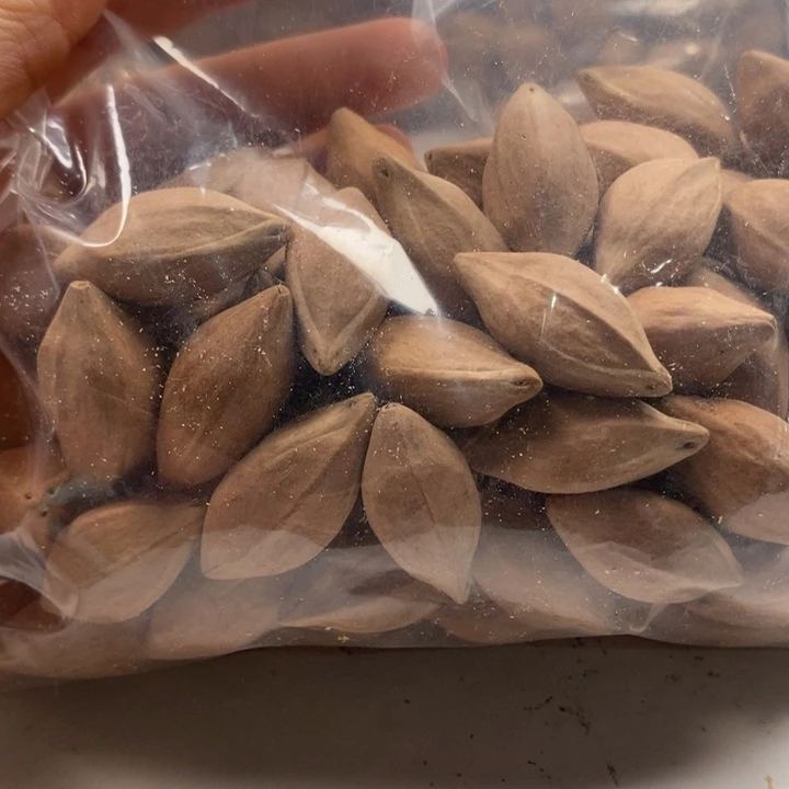 橄榄核手串/手链橄榄核雕