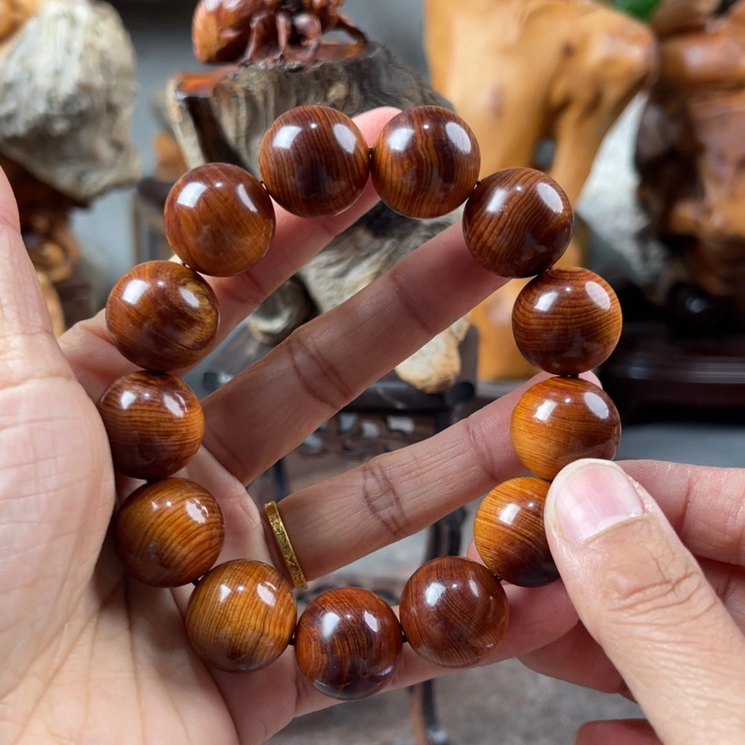 柏木（崖柏）崖柏太行山脉