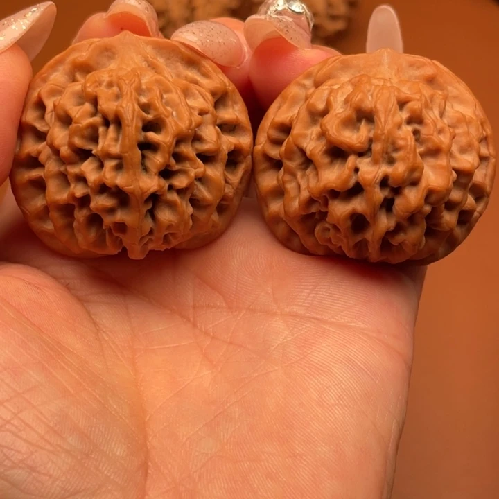 清***笑香榧木秦核等人的故事也是如此地