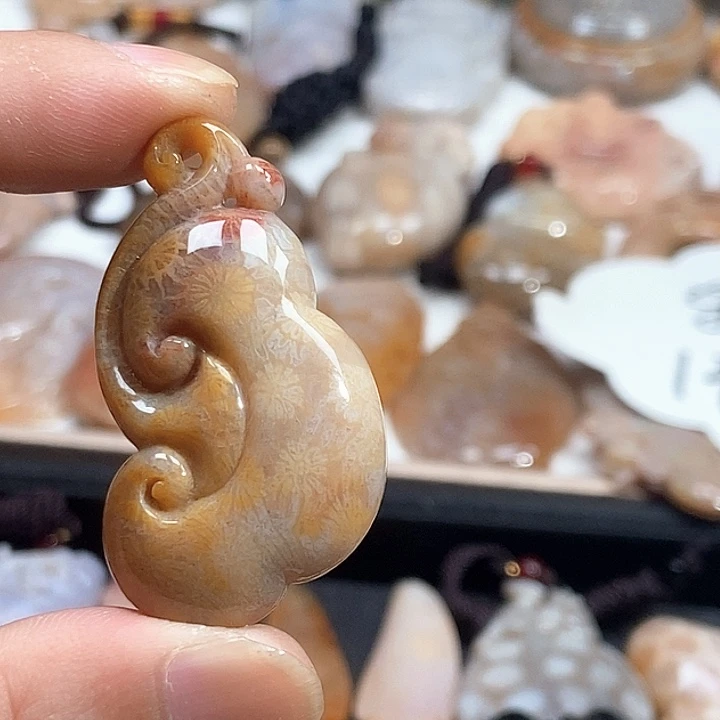 颈饰未镶嵌硅化珊瑚（珊瑚玉）
