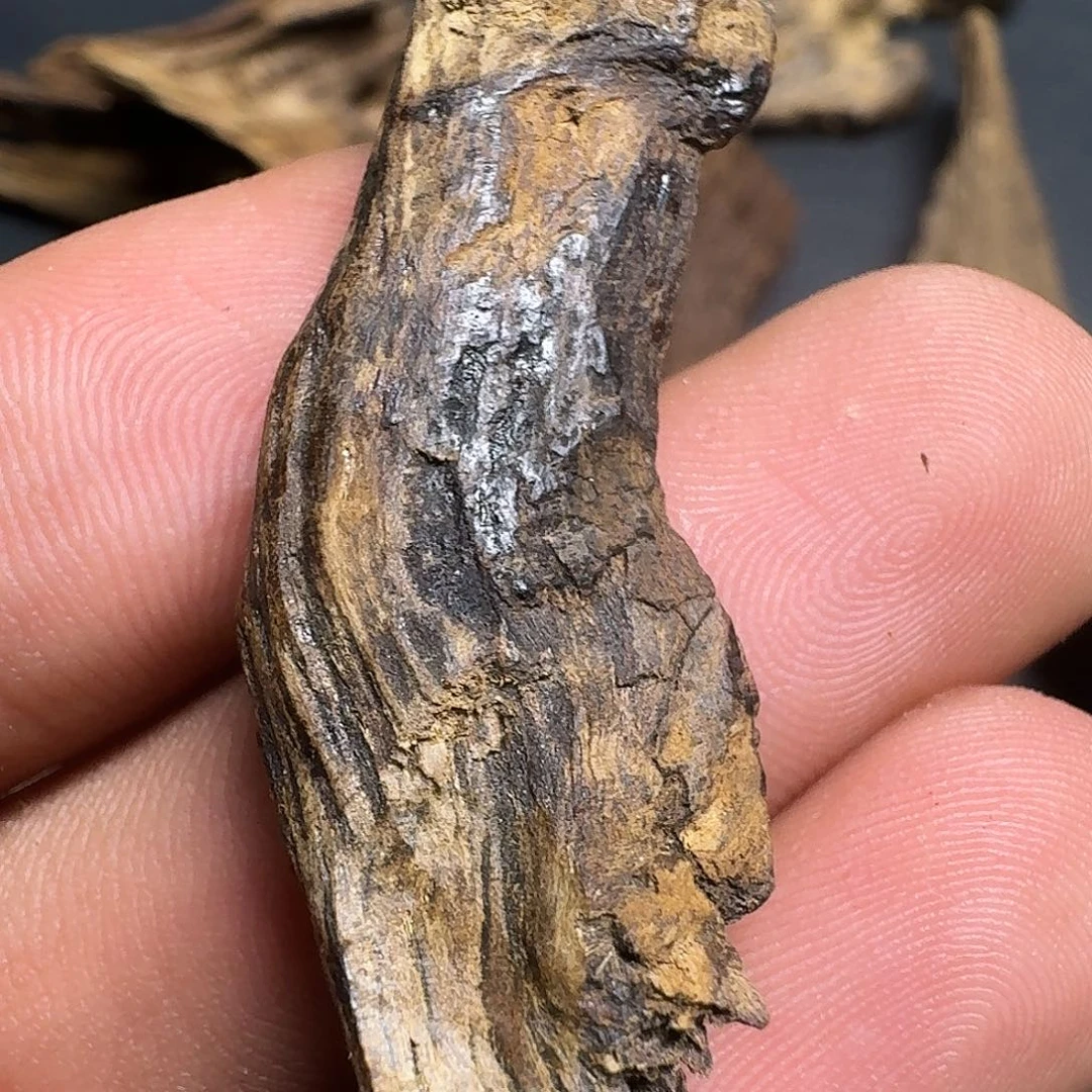 @***金线香达拉干沉水百年香