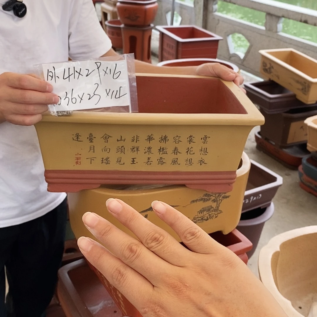 紫砂花盆紫砂花盆