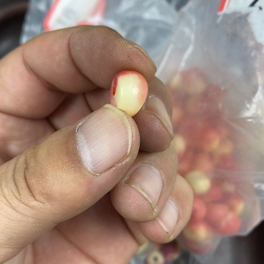 手串/手链驼骨配饰82发36个