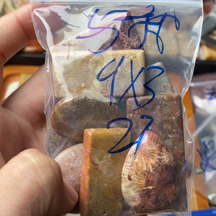 硅化玉颈饰足金镶嵌与*