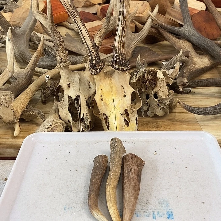 文***大叶紫檀（黑酸枝木类）手把件