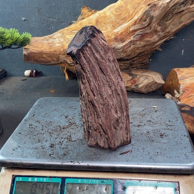 【闪购商品】黄花梨/降香黄檀美**界